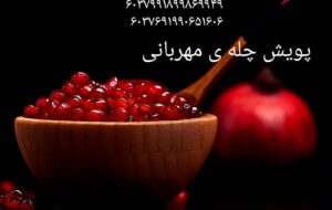 پویش چله ی مهربانی پویش چله ی مهربانی